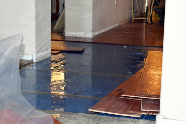 Professional Basement Flood Cleanup technician working in Honeyville, UT